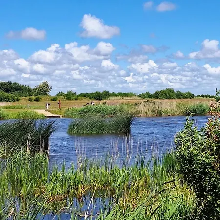 Dom wakacyjny 8 Person In Skjern-by Traum