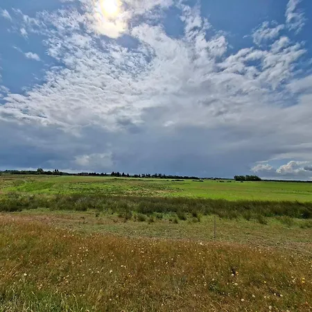 Dom wakacyjny 8 Person In Skjern-by Traum Skjern