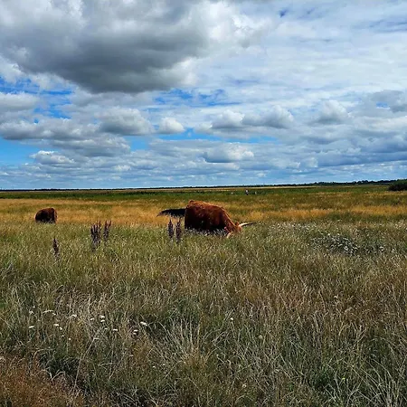 Dom wakacyjny 8 Person In Skjern-by Traum Skjern