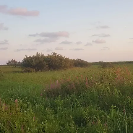 8 Person In Skjern-by Traum Skjern